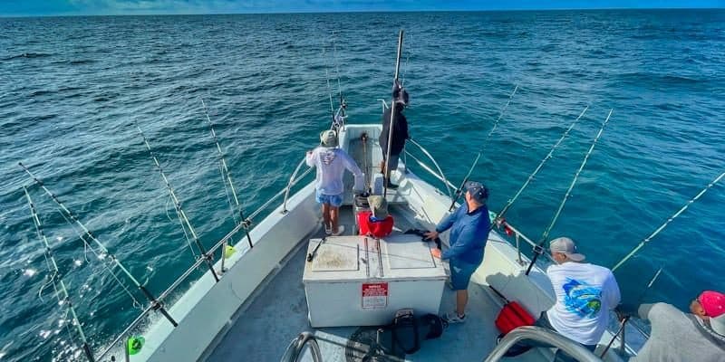Crew on deck during a day trip